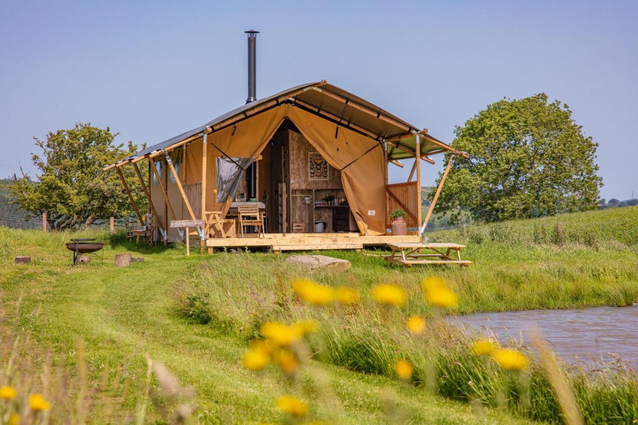 Under the Oak Glamping — hotel in Caerphilly