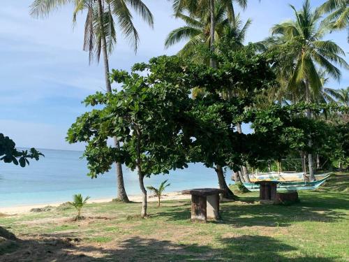 Palanas White Sand Beach Resort in Himensulan, Philippines