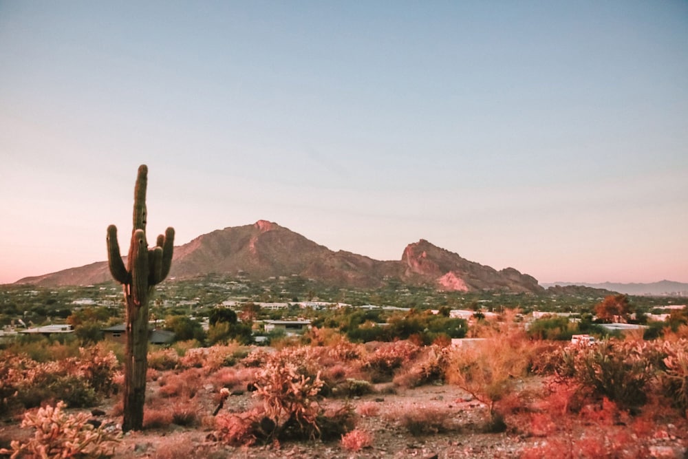 JW Marriott Camelback Inn Scottsdale Resort & Spa - photo 106