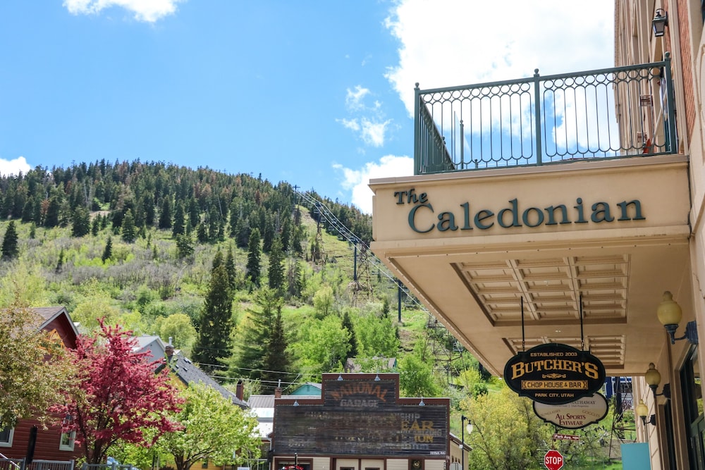 The Caledonian by All Seasons Resort Lodging - photo 248