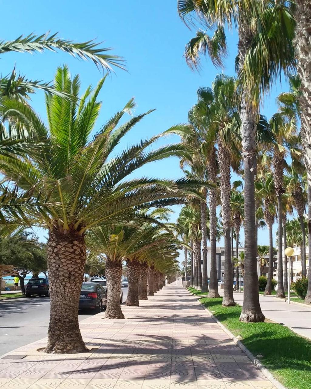 Chill’n Holidays in Moncofa, Spain