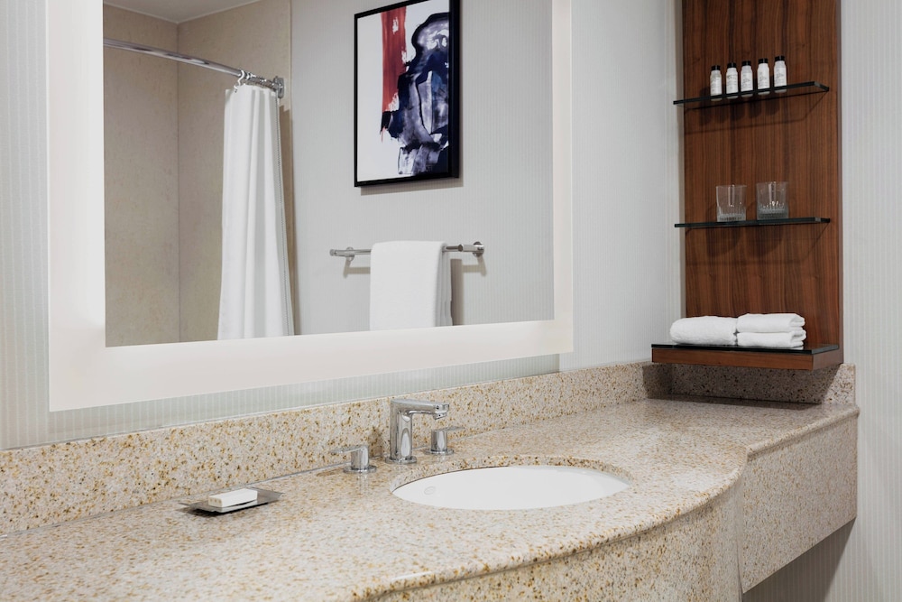 Delta Hotels by Marriott Burlington - photo 14