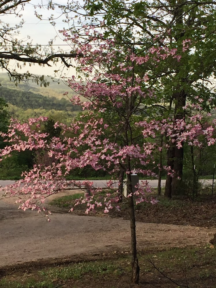 Cherokee mountain log cabin resort - photo 82