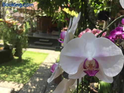 Tungeh Inn — Ubud — photo 5