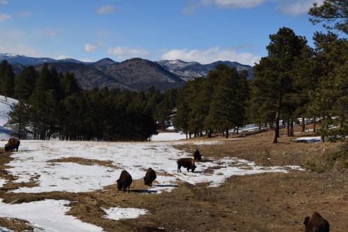 Expedition Station in Keystone, United States
