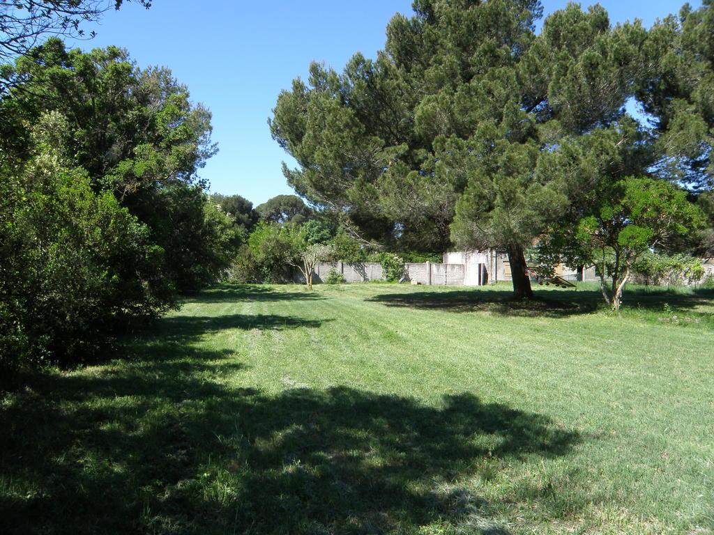 Un Nid En Camargue — Arles — photo 3