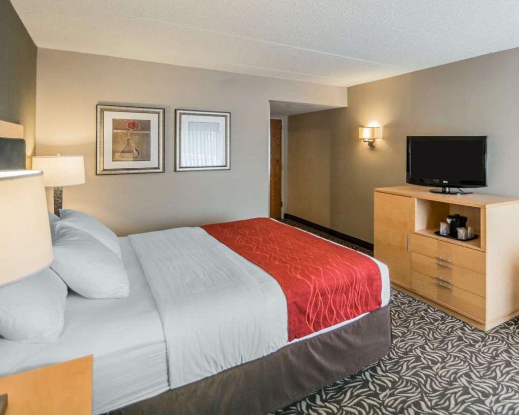 Comfort Inn NYS Fairgrounds - photo 26