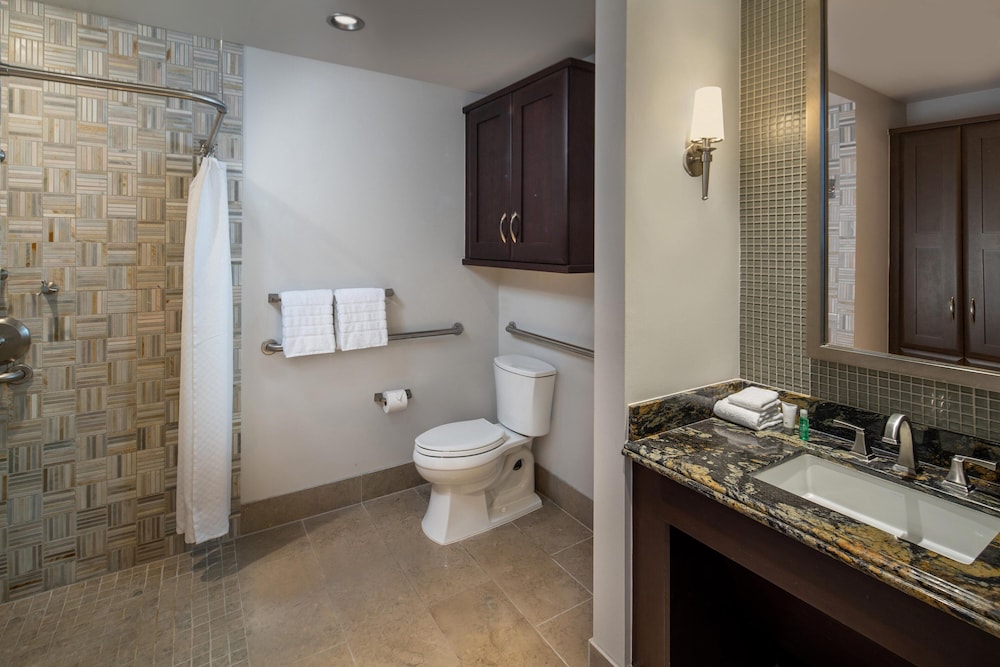 The Westin Houston Memorial City - photo 57