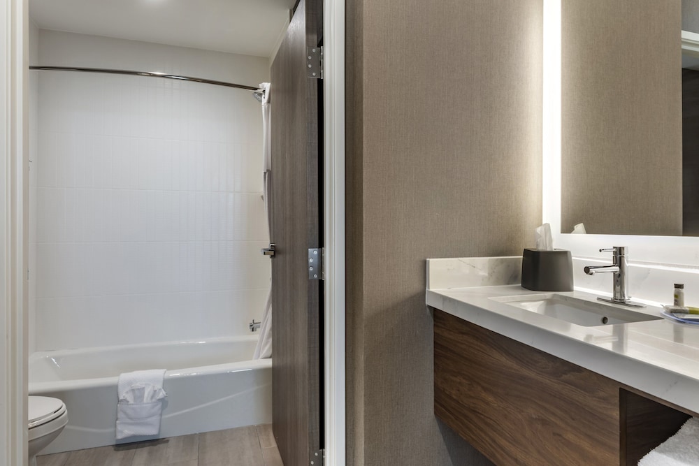 Staybridge Suites Dallas Grand Prairie by IHG - photo 33