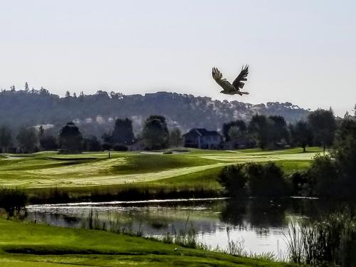 Resort at Eagle Point - photo 44
