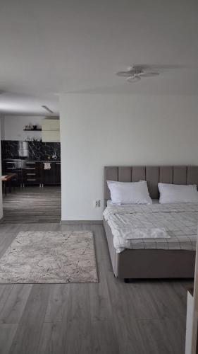 Paul’s Houses 2 — Ocna Mures — photo 4