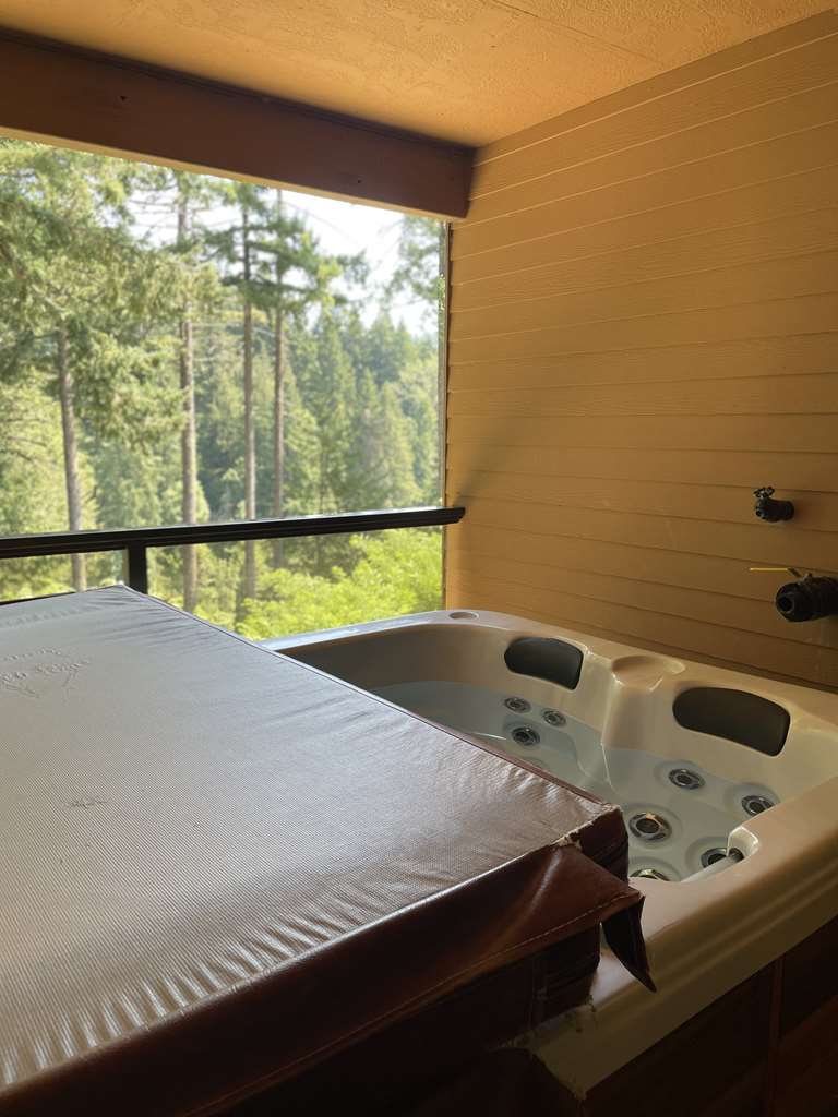 Carson Hot Springs Resort - photo 14