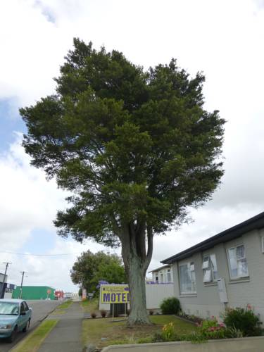 Totara Lodge Motel