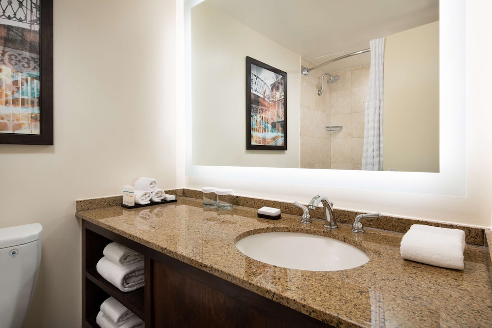 Embassy Suites by Hilton New Orleans - photo 36