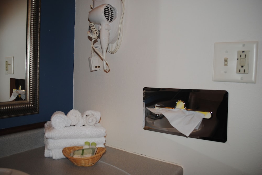 Asteria Inn and Suites - photo 14