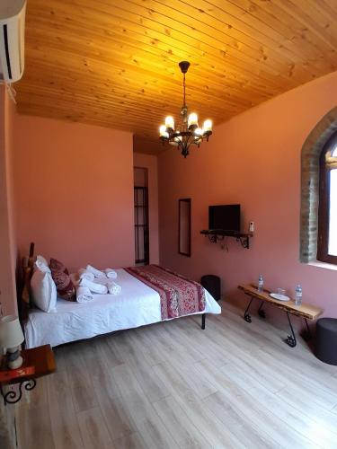 Château Fort de Manavi Boutique Hotel