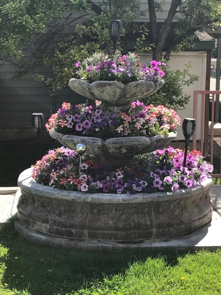 Blue Spruce Inn - photo 34
