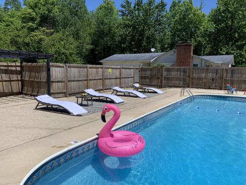 Poolside Paradise - carbon neutral hotel in South Haven