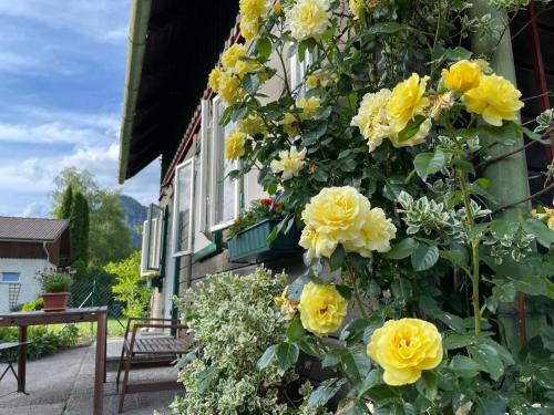 Holzhaus Falkenstein — Schwarzau Im Gebirge