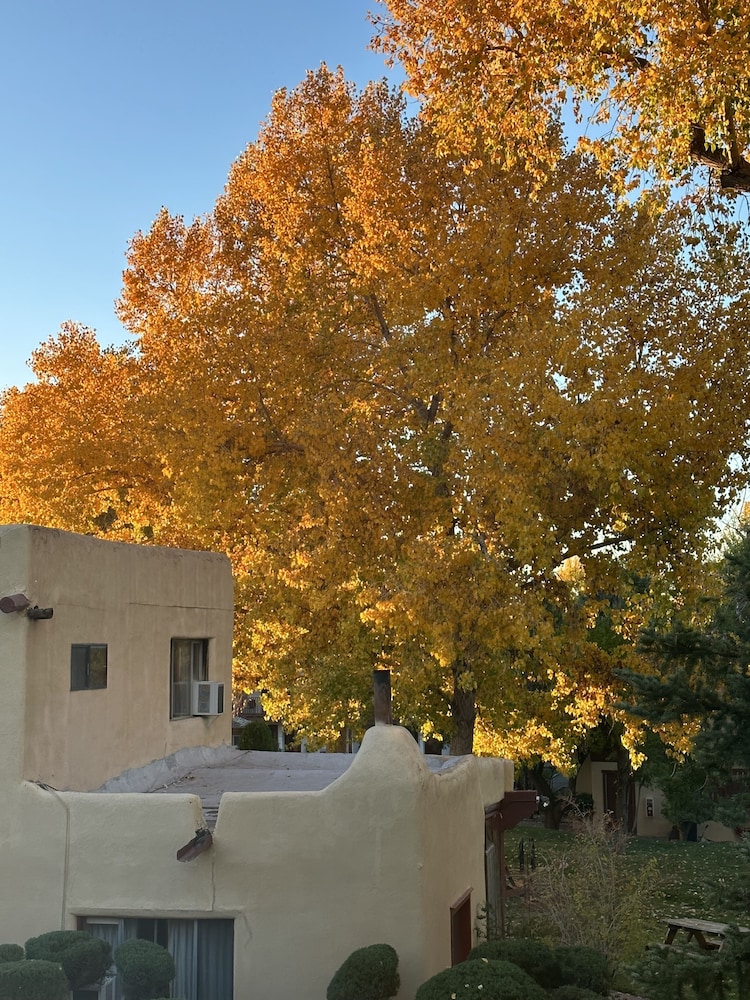 El Pueblo Lodge - photo 59