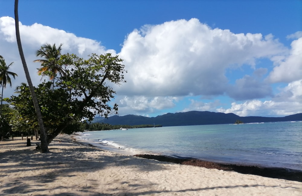 Go las Galeras Inn in Unknown City, Dominican Republic