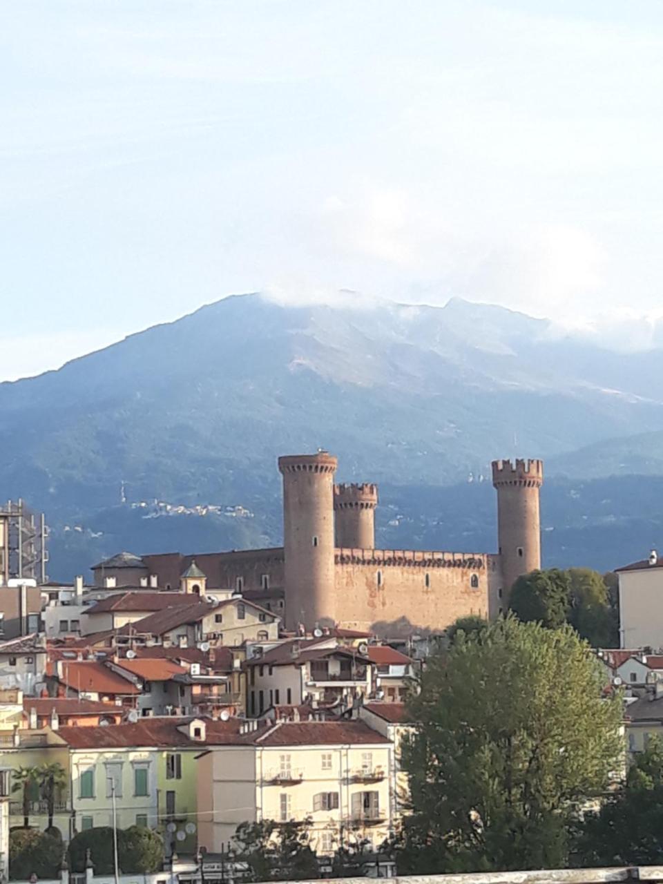 Camelia — Ivrea
