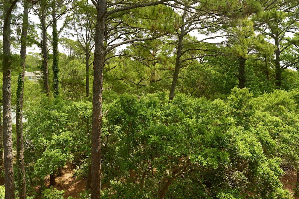 The Westin Hilton Head Island Resort & Spa - photo 44