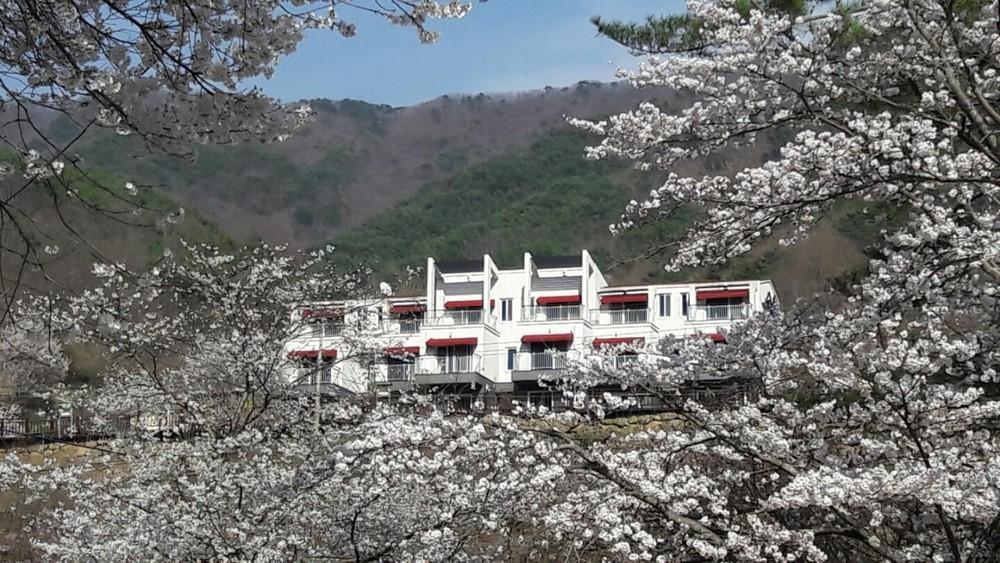 Maple Valley - last minute hotel in Unknown City