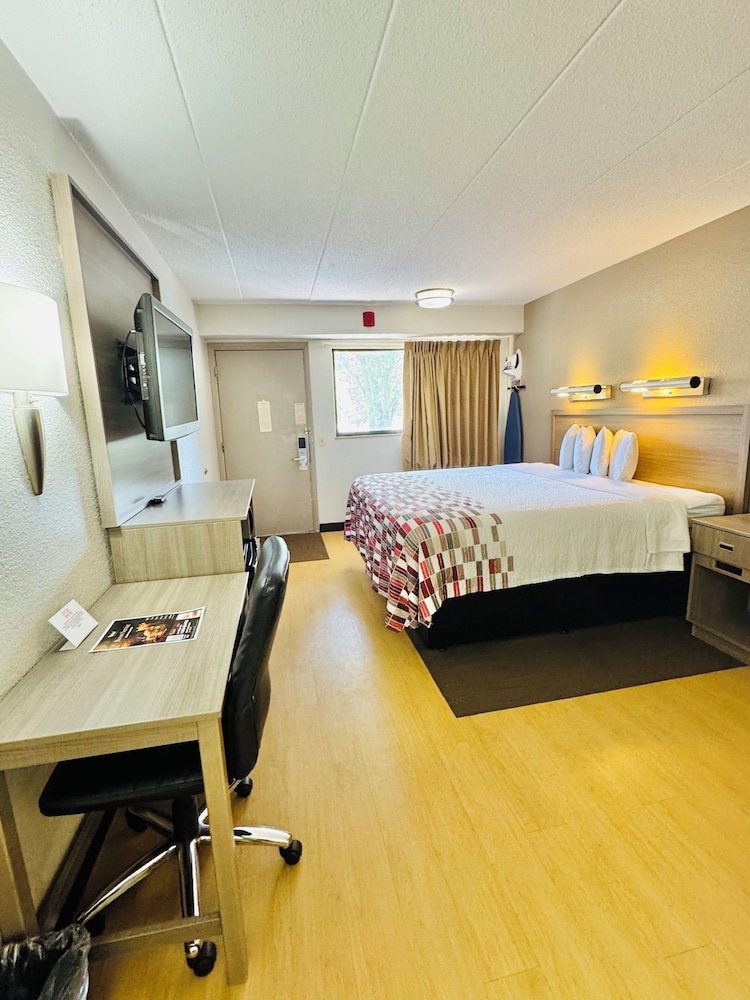Red Roof Inn Milford New Haven - photo 31