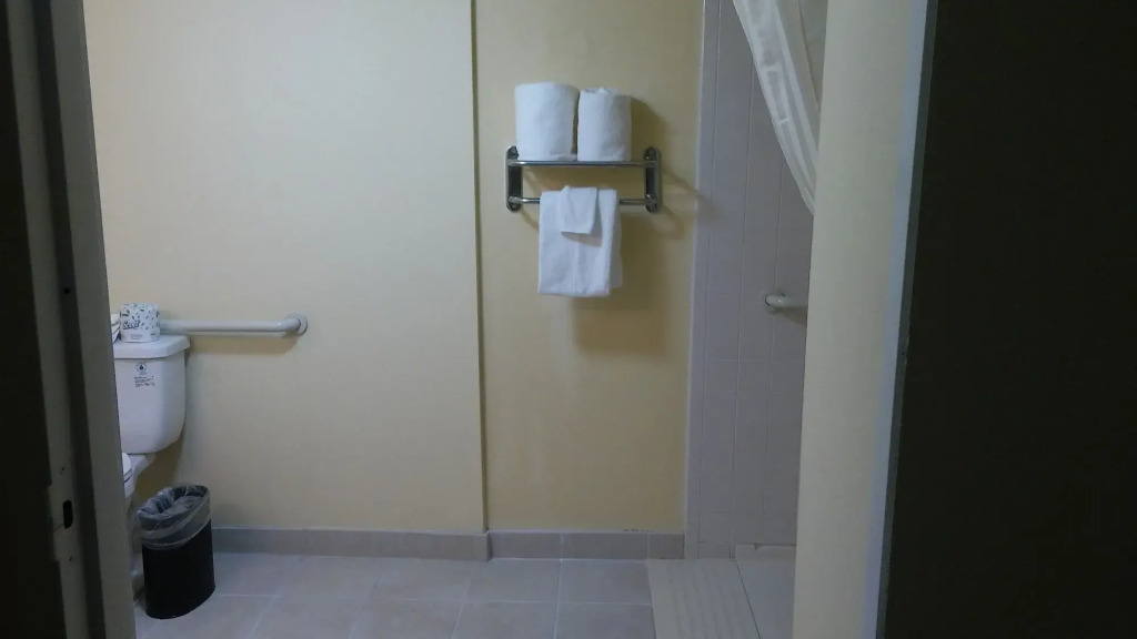 Clarion Hotel Orlando International Airport - photo 10