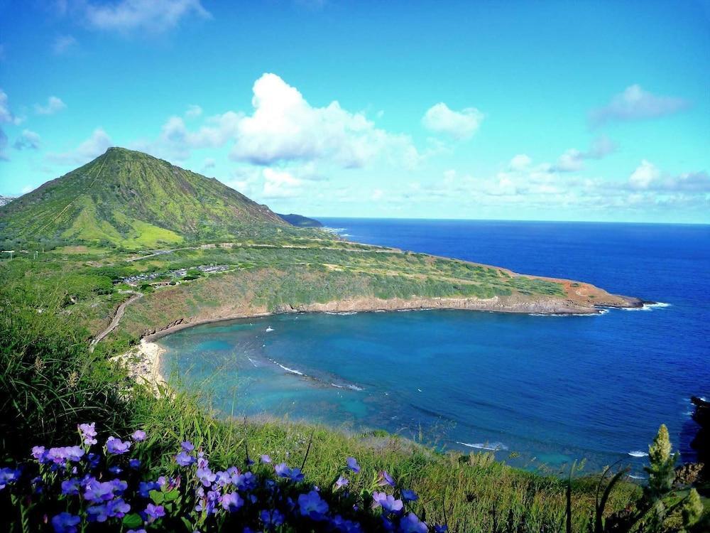 Diamond Head Beach Hotel 805 - photo 12