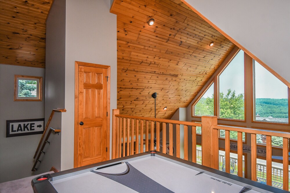 Bear's Eye View - photo 6