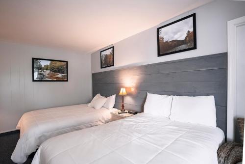 Scenic Inn of Conway - photo 7