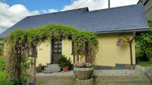 Ferienhaus Riedl — hotel in Klingenthal