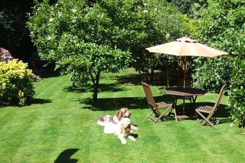 Overglen Court Bed & Breakfast — Liss — photo 5