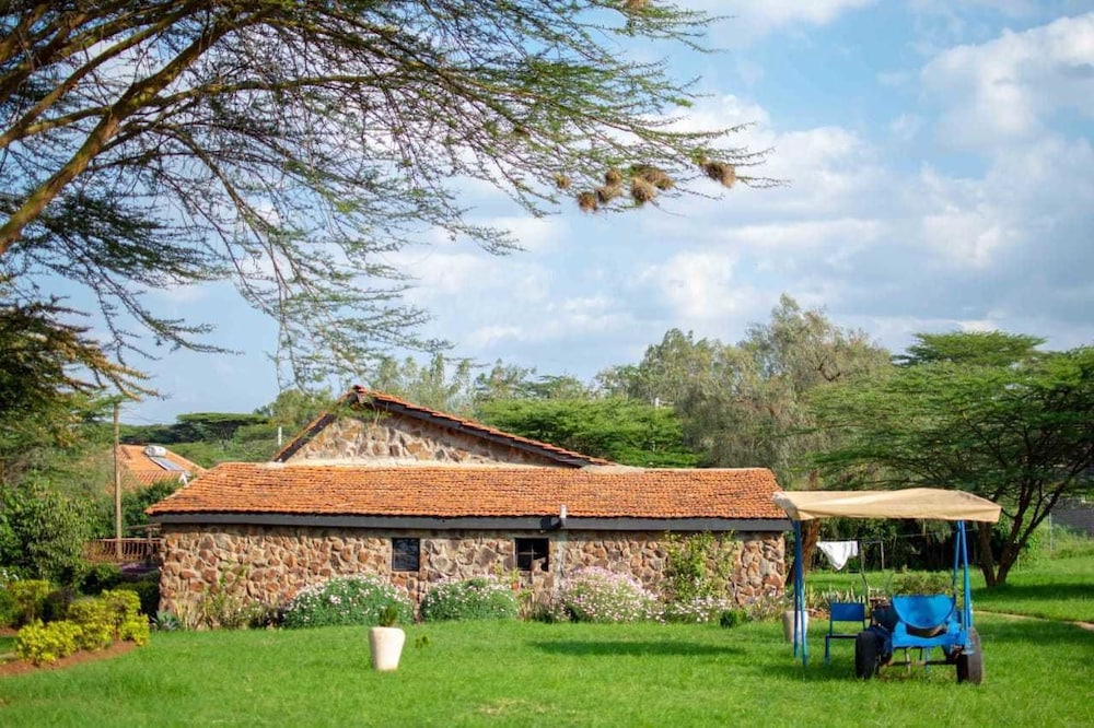 Game View Hotels in Unknown City, Kenya