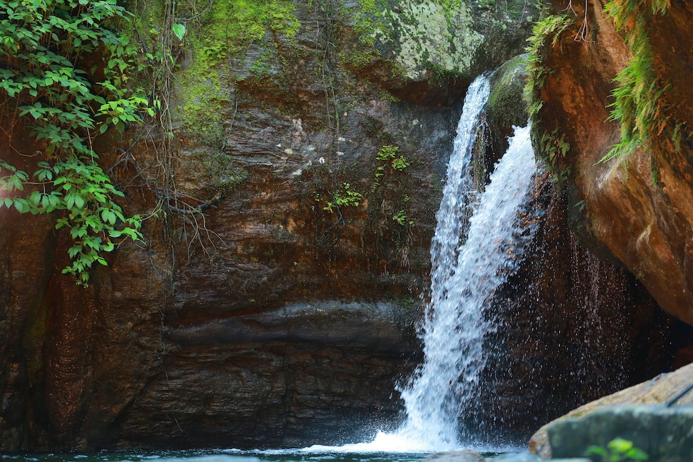 Blue Ginger Resort in Ooty, India