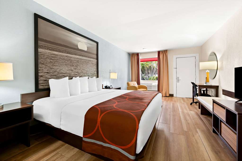 Super 8 by Wyndham Florida City Gateway to Keys Everglades - photo 23