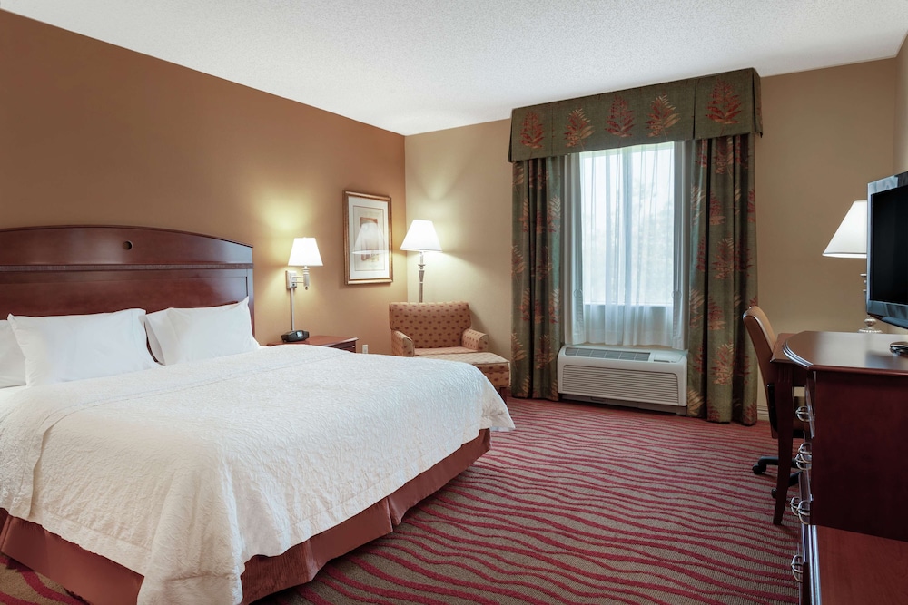 Hampton Inn & Suites Port Richey - photo 5