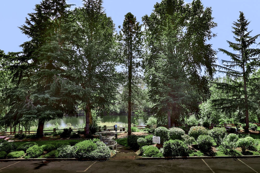 Riverfront Inn Roseburg - photo 56