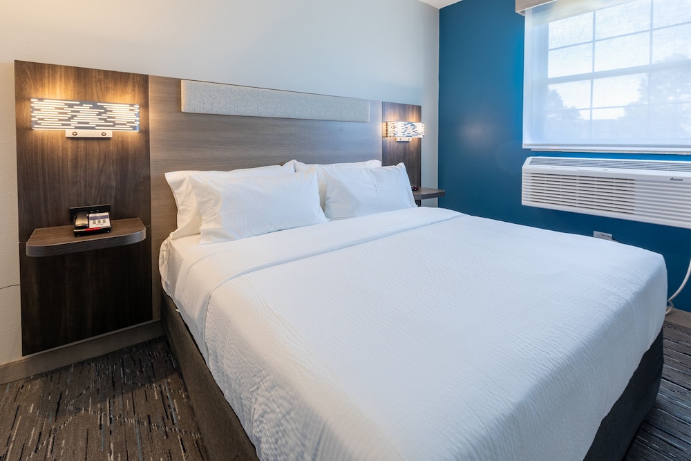 Holiday Inn Express & Sts Englewood Denver South - photo 18