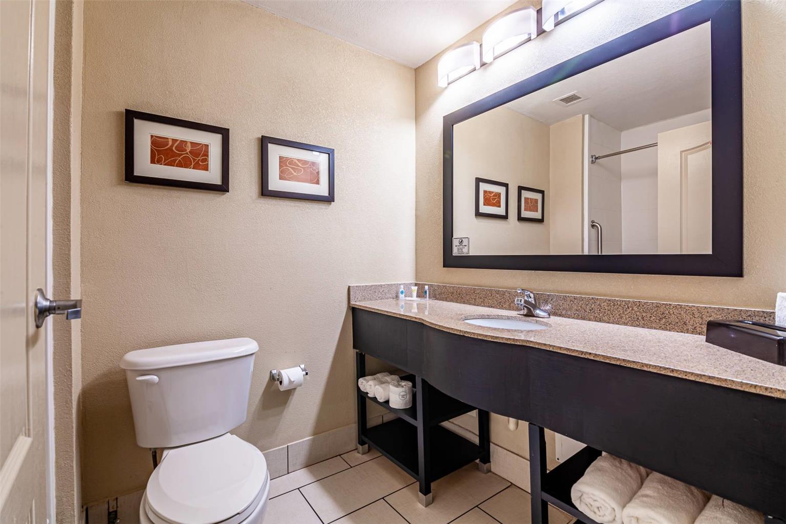 Comfort Suites Morrow Atlanta South - photo 9