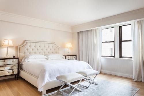 Central Park South Deluxe Studio - photo 11