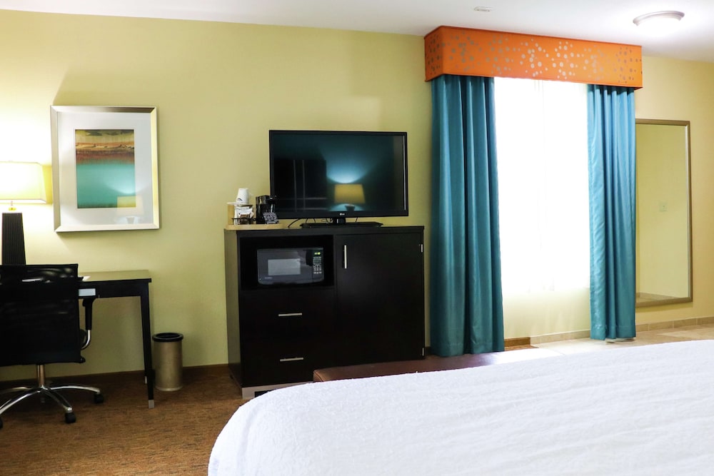 Hampton Inn Austin Oak Hill - photo 13