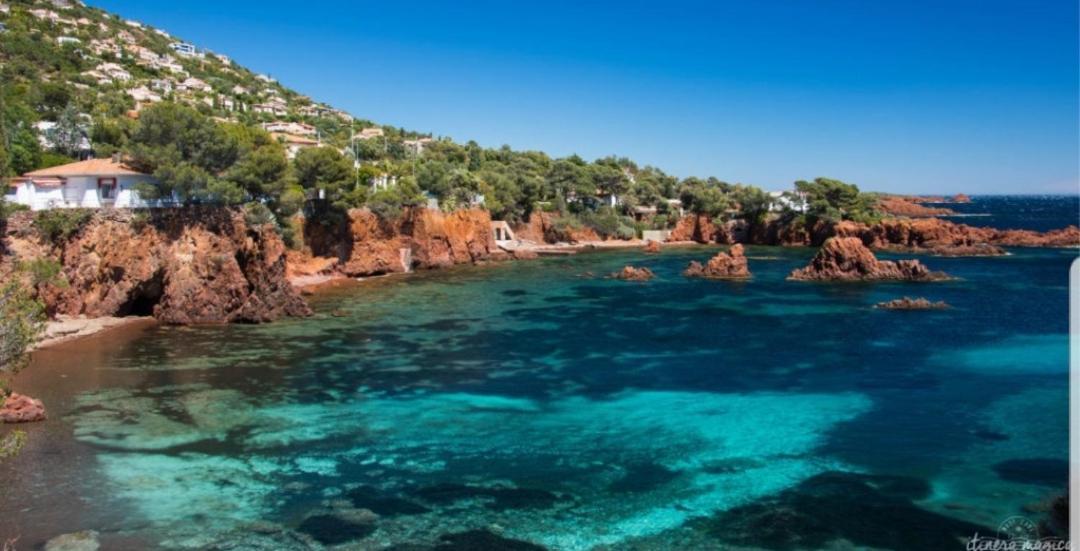 A la Devino in Frejus, France