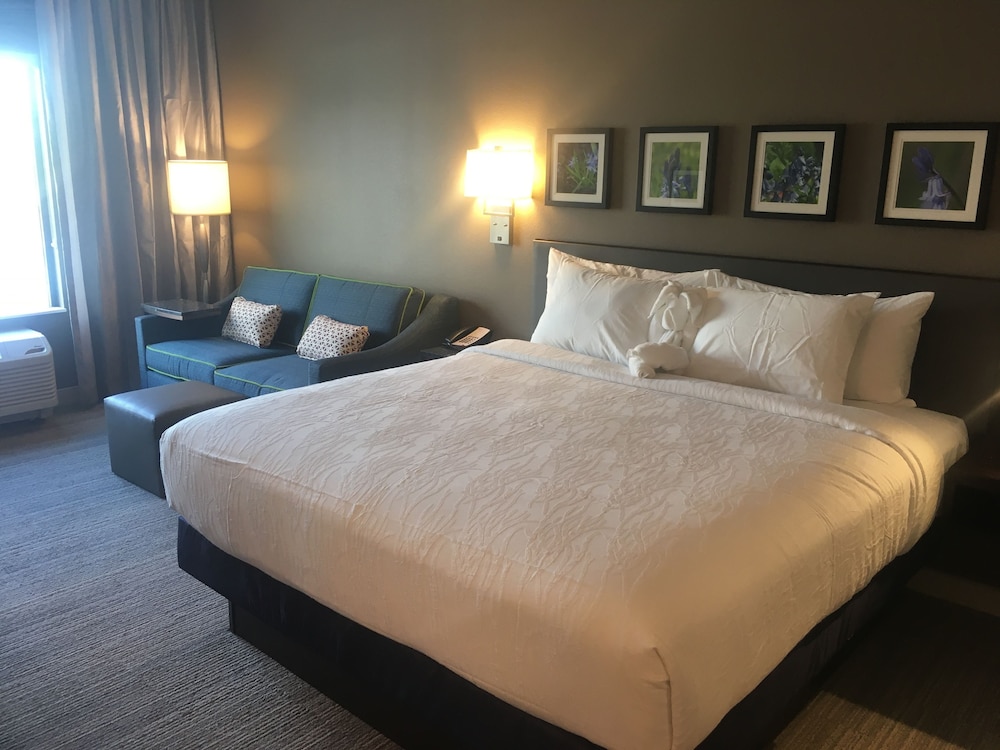 Hilton Garden Inn Austin Airport - photo 6