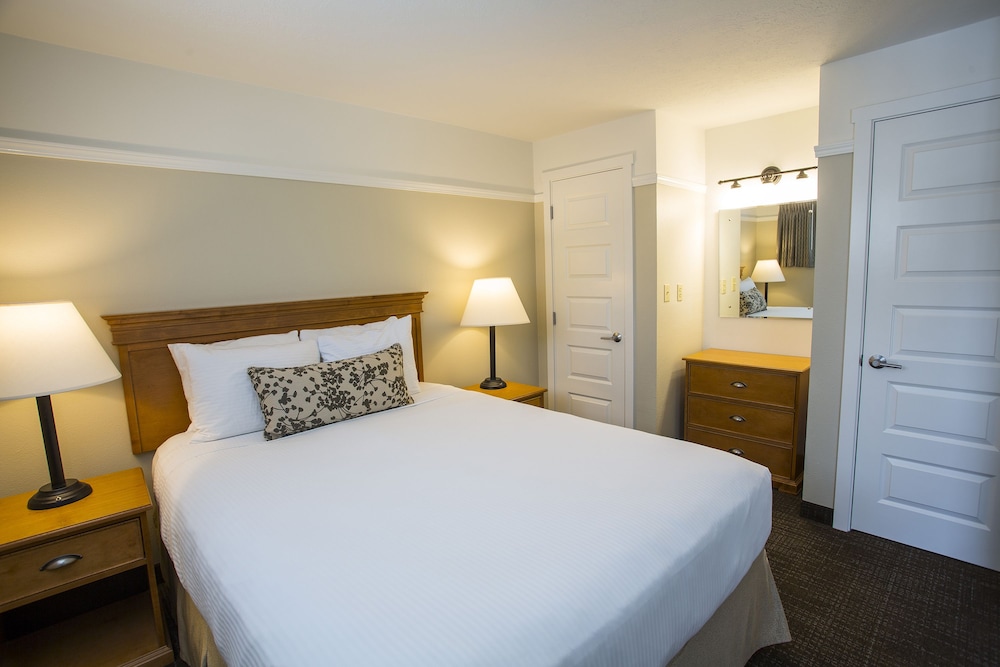 Looking Glass Inn - photo 5