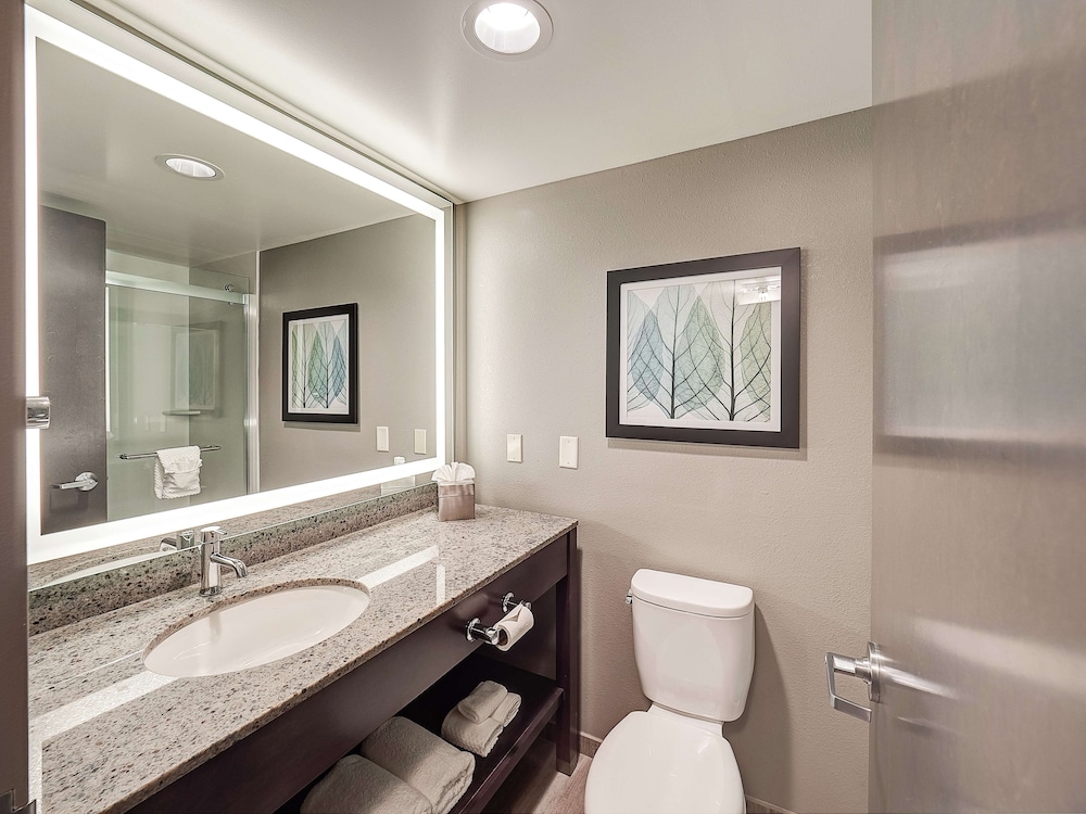 DoubleTree by Hilton Hotel Bloomington - photo 18