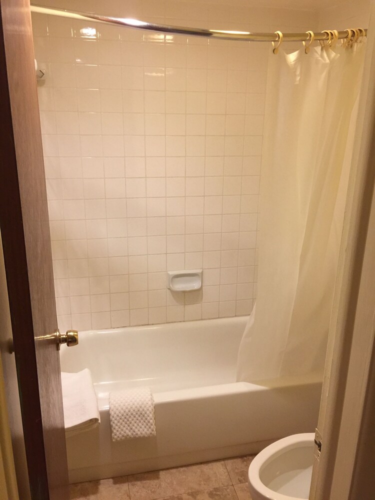 Rodeway Inn Holiday FL - photo 11