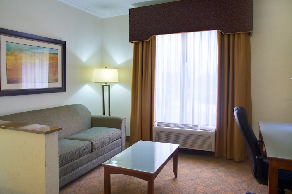 Holiday Inn Express & Suites Lufkin South by IHG - photo 5